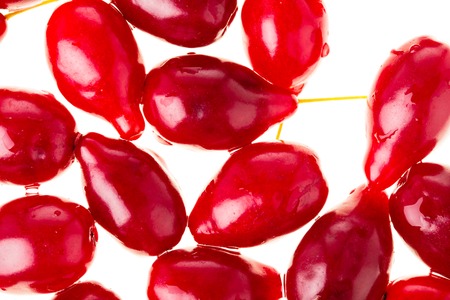 Ripe red dogwood berries closeup. Isolated on a white background.の写真素材