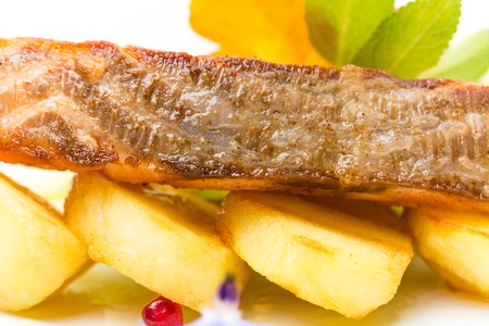 Grilled salmon fillet with roast potatoes. Macro. Photo can be used as a whole background.の写真素材