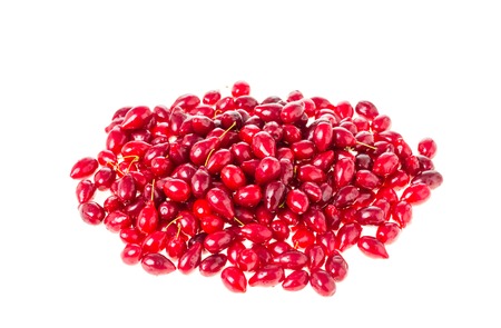 Ripe red dogwood berries. Isolated on a white background.の写真素材