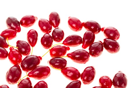 Ripe red dogwood berries closeup. Isolated on a white background.の写真素材