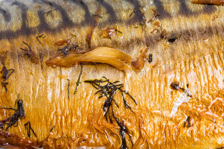 Closeup of delicious roasted mackerel fish. Macro. Photo can be used as a whole background.