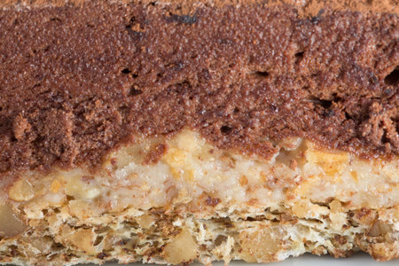 Chocolate cheesecake with cacoa powder. Photo can be used as a whole background.