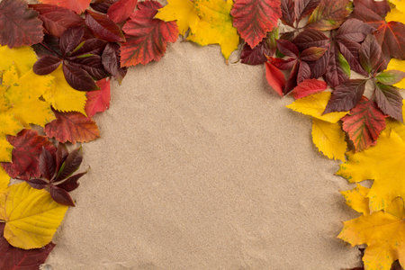 Sand background with autumn leaves. The leaves not are