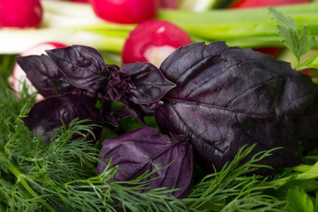 Mixed fresh vegetables. Macro. Photo can be used as a whole background.
