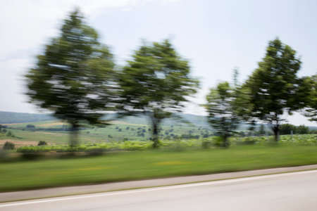 View from the car window. Landscape photographed while driving.