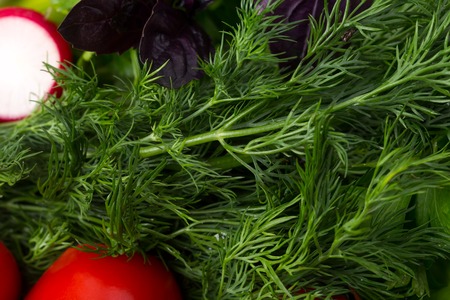 Mixed fresh vegetables. Macro. Photo can be used as a whole background.の写真素材