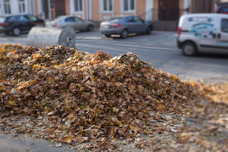 Autumn in the city. Abscissed leaves in the city street.の写真素材