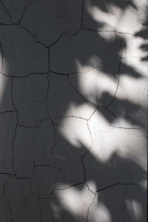 Cracked decorative plaster background. Old wall concrete texture with white crack.の写真素材