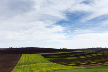 Beautiful landscape of the field and blue sky.