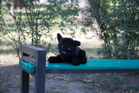 Soft toy is sitting alone on a wooden bench.の写真素材