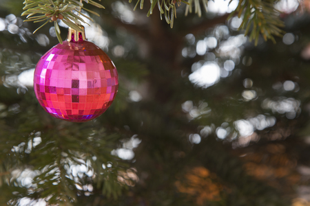 Christmas red ball on a branch of pine. Close-up.の写真素材