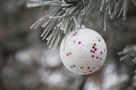 Christmas white ball on a branch of pine. Close-up.の写真素材
