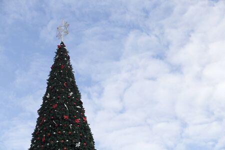 The christmas tree and the blue sky with clouds. This image may be used as a gift card.の写真素材