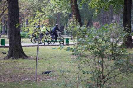 A group of police officers on bicycles patrol. The city park.の写真素材