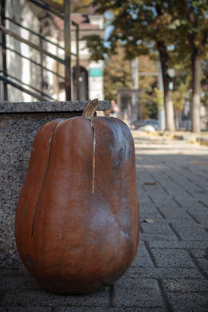 Pumpkin on sidewalk in city street. Halloween decoration outdoor. Space for text. Happy halloween. Autumn market in town. Close-up. Light and shadow.の写真素材