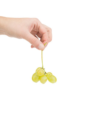 A branch of green ripe grapes in his hand. Isolated on a white background. Close-up.の写真素材