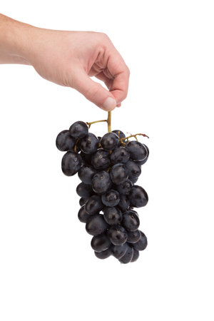 A bunch of grapes in a human hand. Isolated on a white background. Close-up.の写真素材