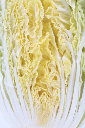 A cross-section of Napa cabbage. It is occupies the entire surface of the image. Close-up.の写真素材