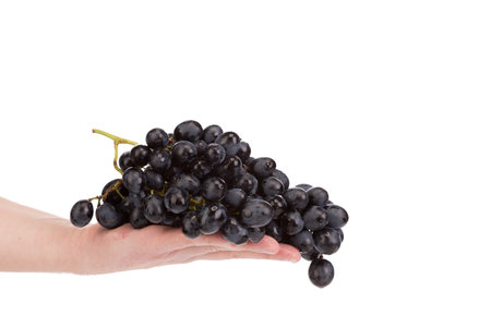 A bunch of grapes in a human hand. Isolated on a white background. Close-up.の写真素材