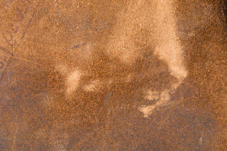 Old beather texture close-up. Useful as background for design-works.