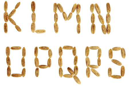 Alphabet of date fruit seeds. KLMNOPQRS capital letters. Isolated on a white background. Close-up.の写真素材
