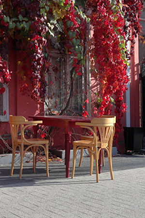 Outdoor cafe in autumn. A table and chairs stand under the red leaves of maiden grapes. Street photography.の写真素材