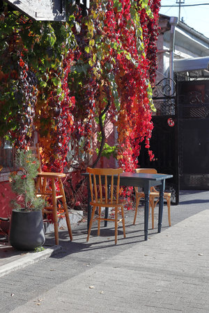 Outdoor cafe in autumn. A table and chairs stand under the red leaves of maiden grapes. Street photography.の写真素材