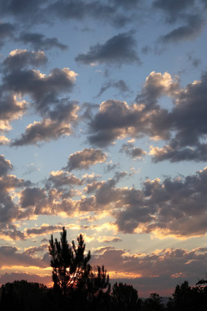Colorful image of dramatic cloudscape. Amazing clouds of pink, purple, violet, white, gray color on the background of sky at gold time. Panorama view.の写真素材