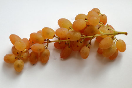 A delicious bunch of amber grapes. It is located on a white paper. Close-up.の写真素材