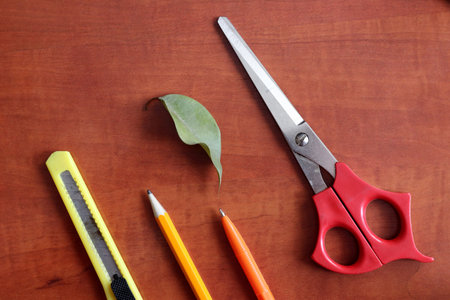 Still life from various stationery. It is located on a wooden surface. close-up.の写真素材