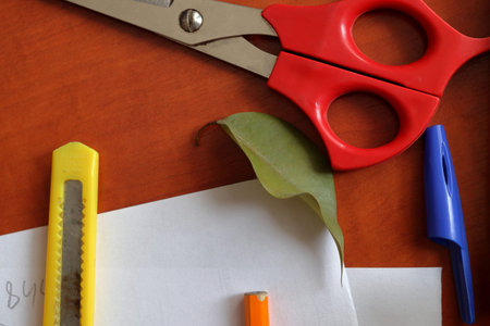 Still life from various stationery. It is located on a wooden surface. close-up.