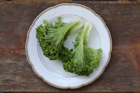 Lettuce salad leaf on white plate. It is located on a wooden surface. Close-up.の写真素材