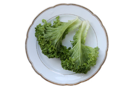 Lettuce salad leaf on white plate. Isolated over white background. Close-up.の写真素材