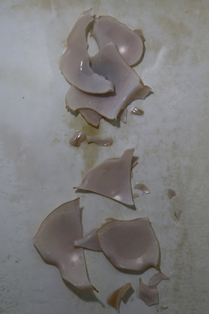 Fragments of a broken glass vase in a dirty bathtub. Close-up.の写真素材