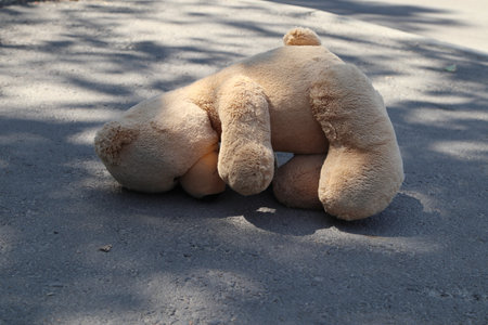 Teddy on the street. Close-up.の写真素材
