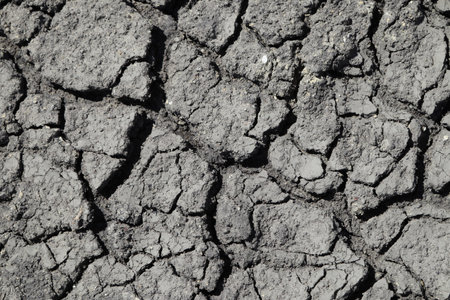 Texture of the dried black earth. Close-up.の写真素材