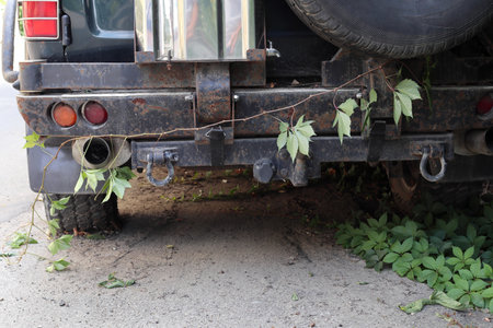 The abandoned vehicle is overgrown with girlish grapes. Close-up.の写真素材