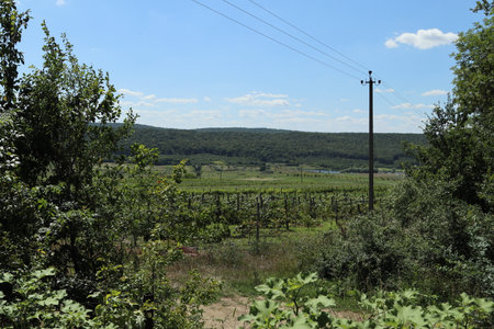 Typical Moldovan landscape of a green agrarian country Republic of Moldova. Background with copy space for text or inscription. Near the village of Donici.の写真素材