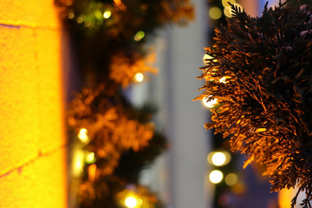 Festive decorations on the street in Chisinau. Close-up.の写真素材