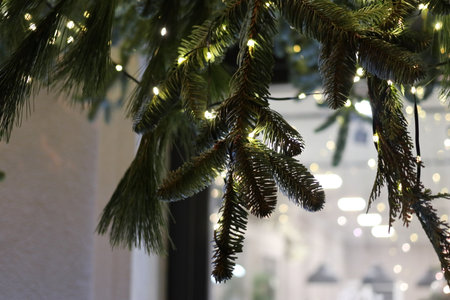 Festive decorations on the street in Chisinau. Close-up.の写真素材