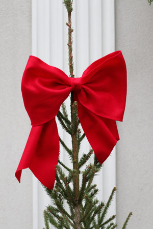A red bow on the Christmas tree. Christmas decoration. Close-up.の写真素材