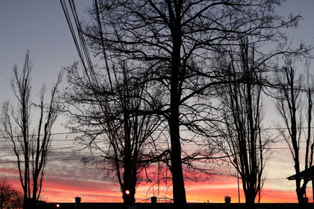 Dark silhouettes against a bright sunset sky. It's a beautiful cityscape.の写真素材