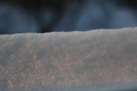 Pink snow in the morning sun. Blurred trees in the background. Close-up.の写真素材