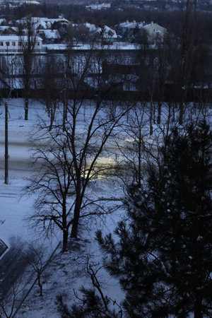 Car headlights in the morning on a snowy street. The view from the window through the trees.の写真素材