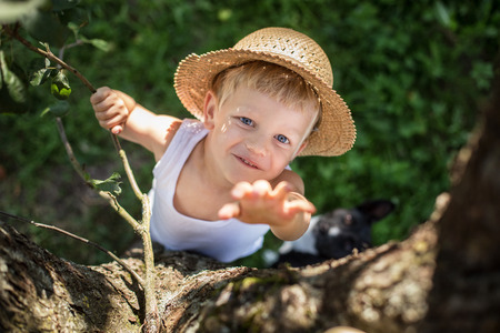 Child with straw hat climbs a treeの写真素材