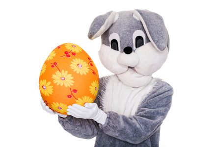 Big Easter bunny hold colorful egg. Studio portrait isolated over white backgroundの写真素材