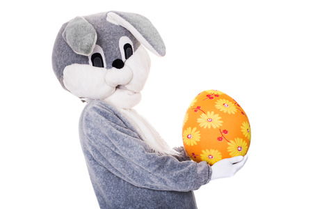 Big gray plush bunny hold Easter egg. Studio portrait isolated over white backgroundの写真素材