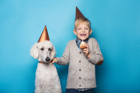 Little handsome boy with dog celebrate birthday. Friendship. Love. Cake with candle. Studio portrait over blue backgroundの写真素材