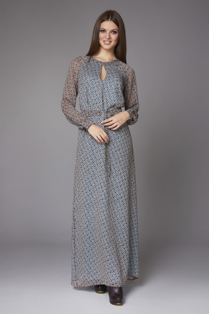 Beautiful sexy girl with well groomed long hair brunette in a long gray gown of silk and chiffon with picture sleeves for walking with friendの写真素材