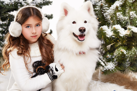 Beautiful little girl with long hair in a white winter sweater sits in the snow at Christmas trees and embraces a large white dog Siberian Husky gift for New Year lantern with a candleの写真素材
